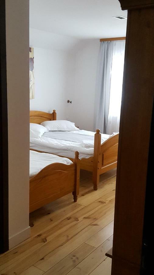 Hotel Casa Dar&And à Vatra Dornei Extérieur photo
