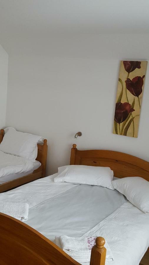 Hotel Casa Dar&And à Vatra Dornei Extérieur photo