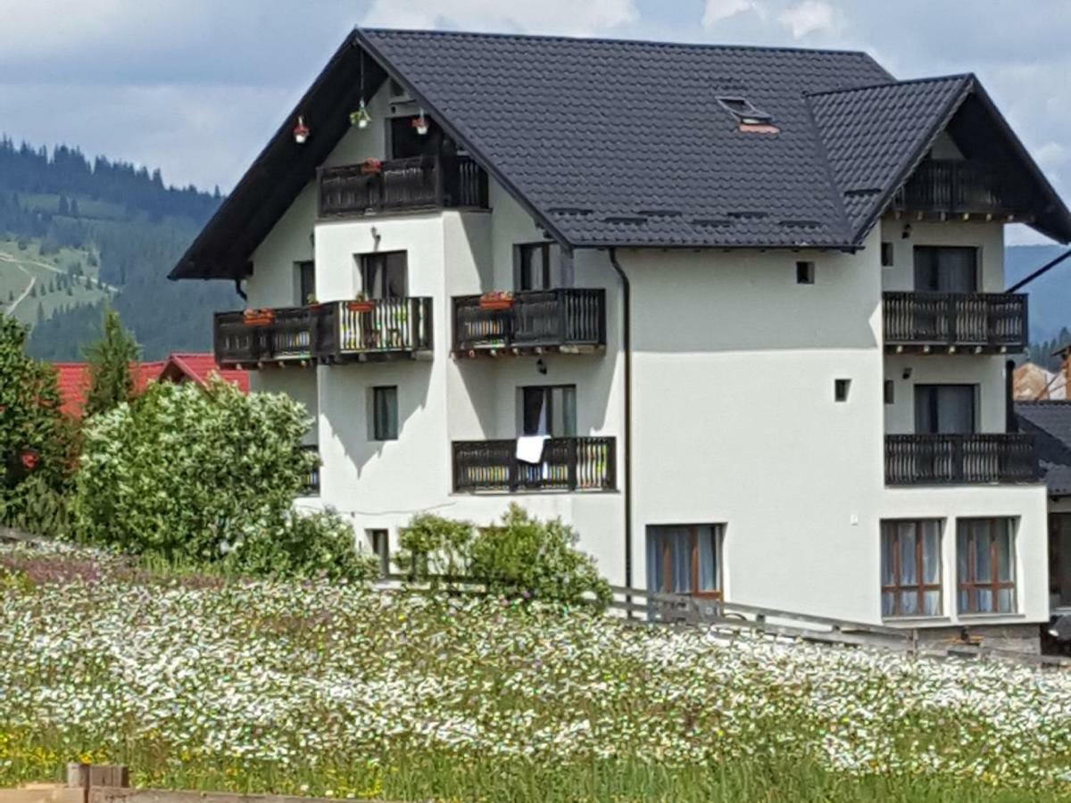 Hotel Casa Dar&And à Vatra Dornei Extérieur photo