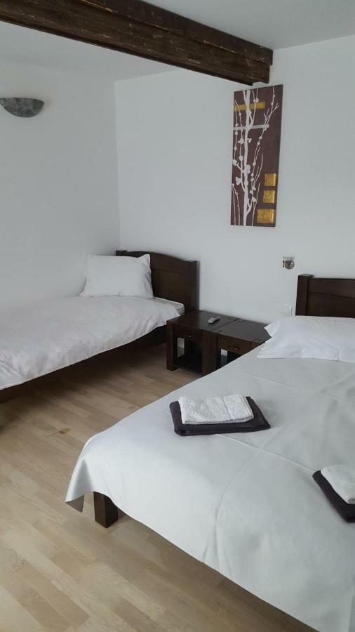 Hotel Casa Dar&And à Vatra Dornei Extérieur photo